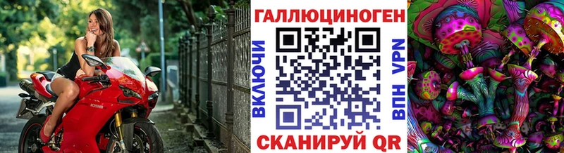 купить закладку  Лермонтов  мега ТОР  Псилоцибиновые грибы Psilocybine cubensis 